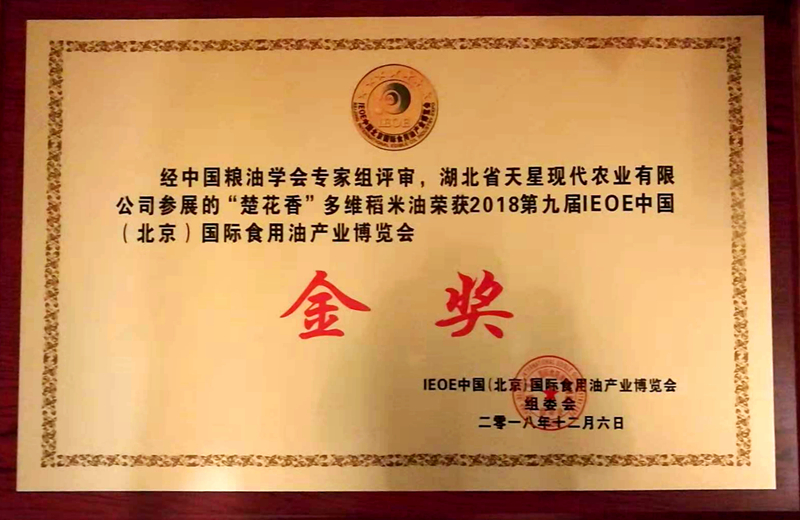 金奖.jpg