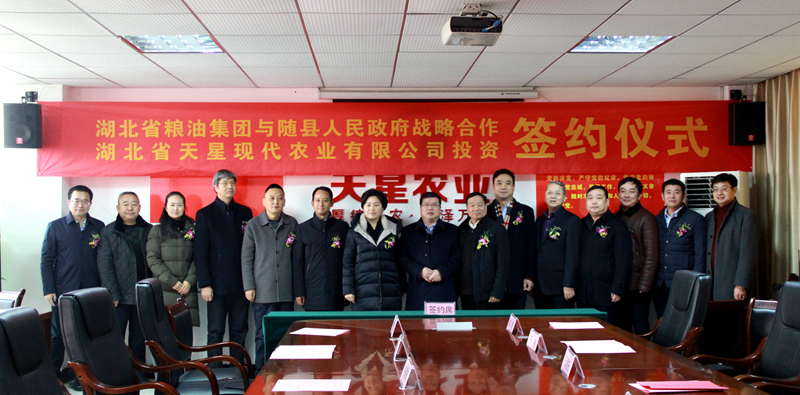 天星揭牌成立 (2).jpg