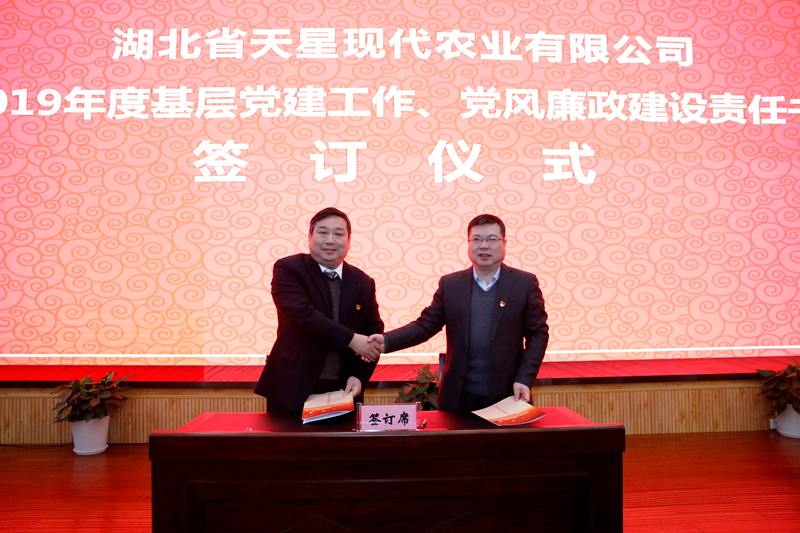 天星（党建）.jpg